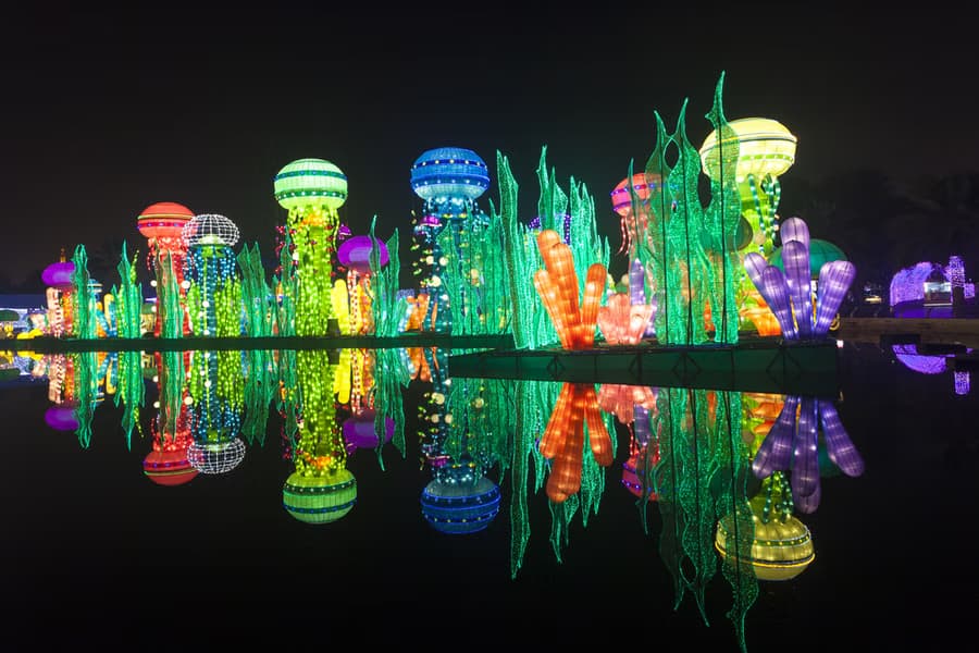 Combo: Dubai Frame + Dubai Garden Glow - Image 6